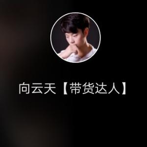 小晶灵守护向云天月琴头像