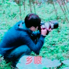 摄影.旅行头像