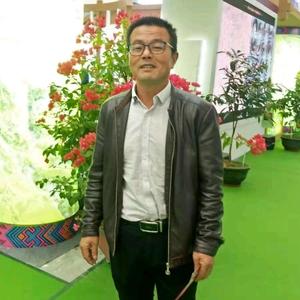 宏哥月季头像