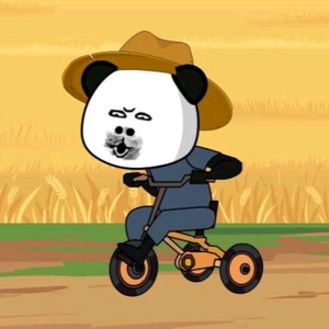 晨晨头像