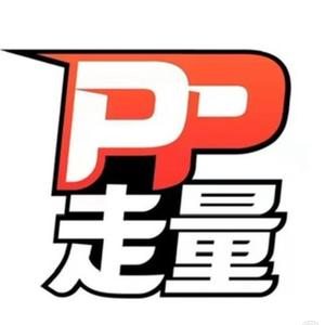 PP走量头像