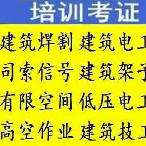 考证培训头像