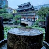 正能量风铃9z头像