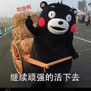 王巅峰8w8F头像