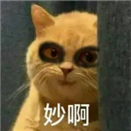 橙甜月云头像