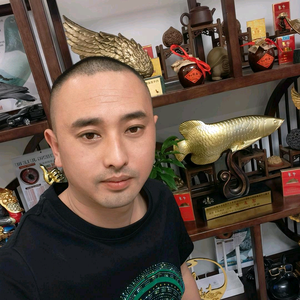 默默鸽苑，振华国际赛鸽头像
