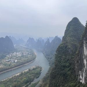麦玲玲头像