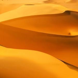 才高八斗山丘6s头像