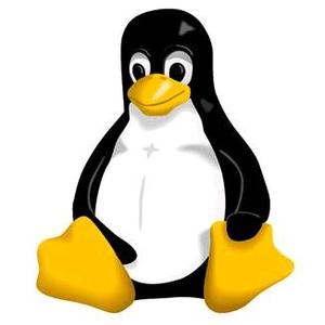 Linux开发者TT头像
