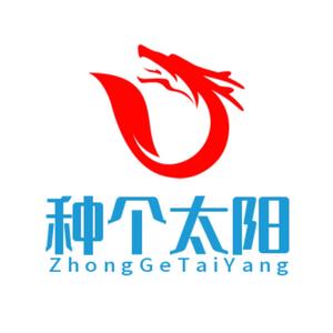 种个太阳头像