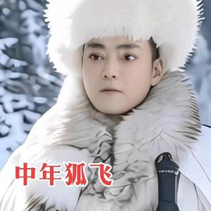 飞元帅头像