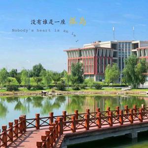 高招升学田老师头像
