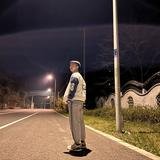 星辰难入海头像