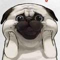 小狗和小艺头像