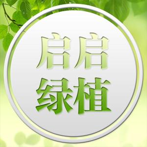 启启绿植头像