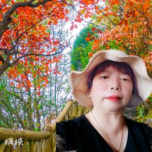 一往无前儿童睡前故事 头像