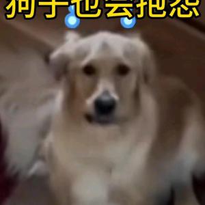 一二三勇之神头像