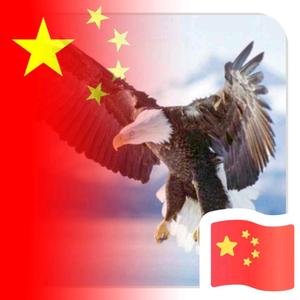 大鹏头像