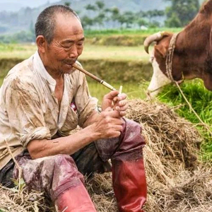 看个球赛头像