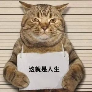 悍匪猫头像