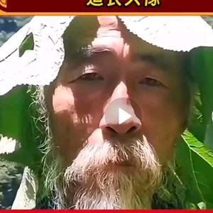 没用的纳粹头像