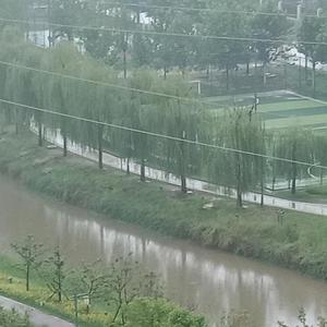 虎哥视频7V1n头像