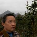 冬天的太阳55468287头像