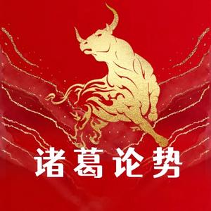 诸葛论势头像