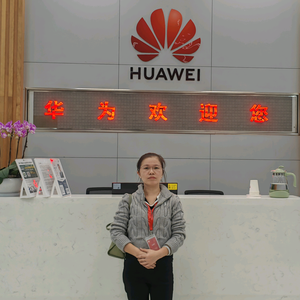 华为坤灵•东莞宁威智能李小姐头像