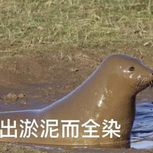 小泽哥的日常头像