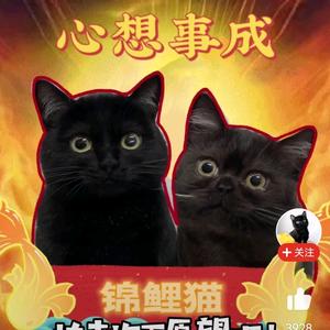 可爱的陈朵朵头像