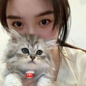 小雪儿头像
