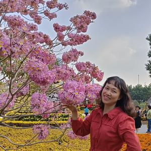 陈洁华2头像