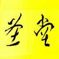 圣堂仲少头像