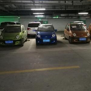 洋柿子郭姜头像