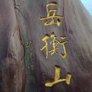 努力加油2019fie头像