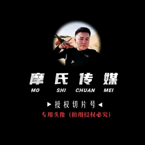达摩切片～星头像