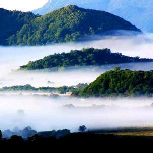 八八一龙跃头像