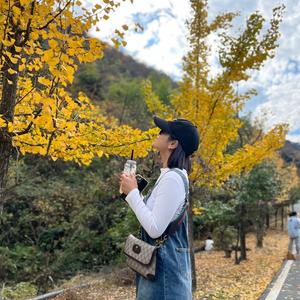 南岳海燕头像