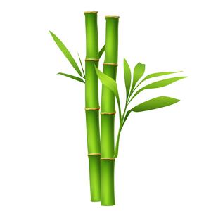 小鱼叨头像