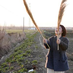 村花小阿姨头像