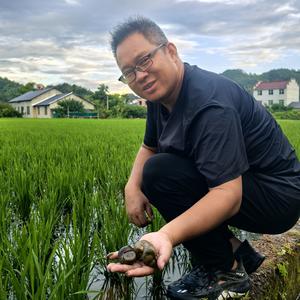 返乡80后螺哥头像