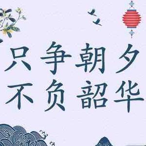陇电小刚头像