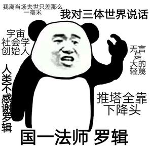魔法熊猫v头像