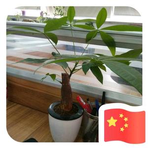 泽莯的幸福生活3949头像