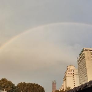 微风轻拂细柳头像