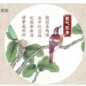 琴弦727头像