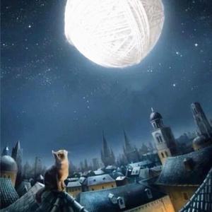夜猫君娱头像