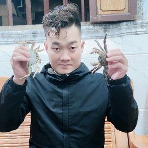 甲东白爪亮头像