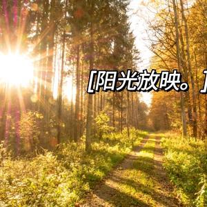 阳光放映头像